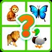 BELIS APK