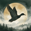 Охота: прогноз и сроки охоты APK