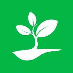 ထွက်တိုး XAPK 下載