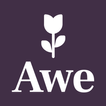 ”Awe: Nature Connection