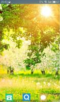Spring Wallpaper HD screenshot 1