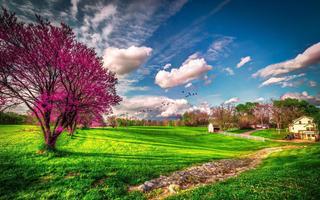 Spring Wallpaper HD اسکرین شاٹ 3