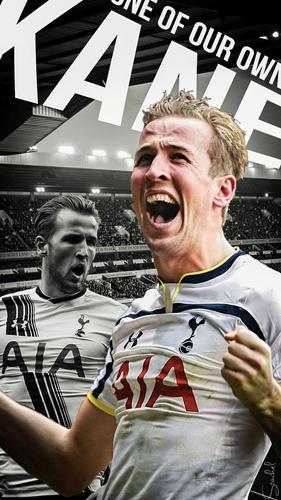 Harry Kane Wallpaper Hdå®‰å