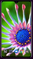 Flower Wallpaper Affiche