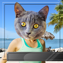Visage d'animal APK