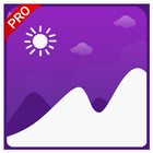 Gallery Pro-icoon