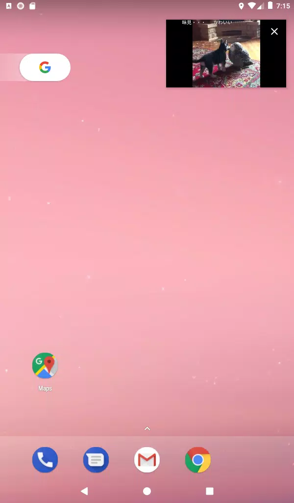 動画保存 バックグラウンド再生ブラウザアプリ Ixpr Fur Android Apk Herunterladen
