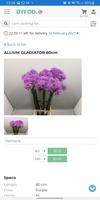 برنامه‌نما Flowers from Holland عکس از صفحه