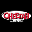 Cheetah アイコン