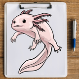 How to Draw Axolotl Easy