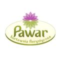 Pawar B2B