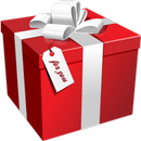APK Christmas Gifts and Budget