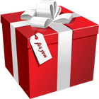 Icona Christmas Gifts and Budget