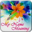 My Name Meaning: Name Art