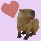 Stickers Capybara icône