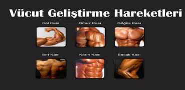 Bodybuilding Exercise