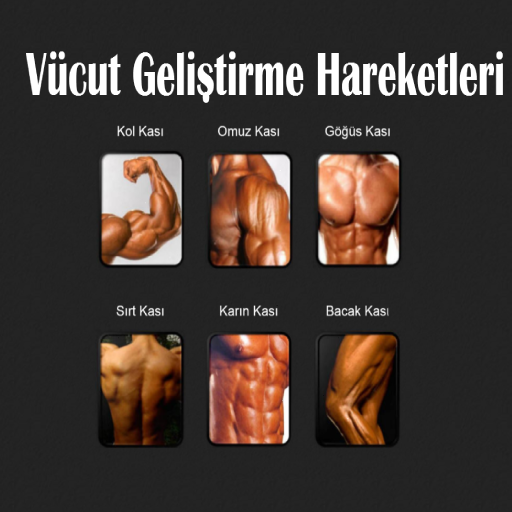Bodybuilding Exercise