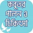 কবুতর পালন ও চিকিৎসা Kobutor palon