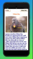 কবুতর পালন ও চিকিৎসা Kobutor palon screenshot 3