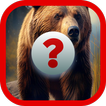 Wild Animal Guess icon