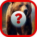 Wild Animal Guess