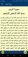 القران الكريم بدون نت | الشيخ حمد سنان скриншот 3