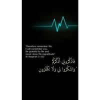 خلفيات ايات قرأنية скриншот 1