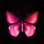 Butterfly HD Wallpapers アイコン