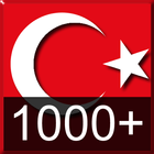 Flashcards Turkish Words icon