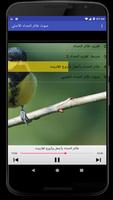 صوت طائر الحداد screenshot 1