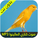 صوت كناري مالينوا