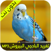 صوت البادجي - البيروش