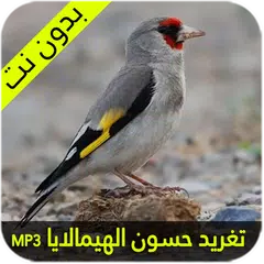 صوت حسون الهيمالايا
