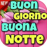 buongiorno, buon pomeriggio, buonasera, buonanotte