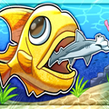 Feed and Grow Fish Action Game