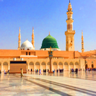 د سرور کائنات ژوند ږغیږ أيقونة
