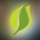 Ayla Aura APK