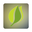 Mobile Foundry APK
