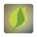 Mobile Foundry APK