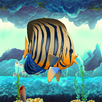 fish live - adventure game APK