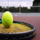 tennis game - world tournament APK
