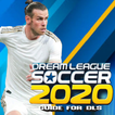 Guide for Dream League Soccer 2020