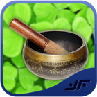 Ayurvedic Remedies icon