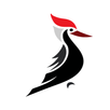 Woodpecker APK