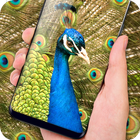 Peacock Live Wallpaper :  HD Colorful Backgrounds آئیکن