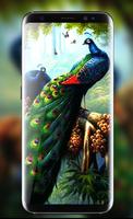 Peacock Live Wallpaper :  HD Colorful Backgrounds اسکرین شاٹ 1