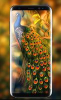 Peacock Live Wallpaper :  HD Colorful Backgrounds capture d'écran 3