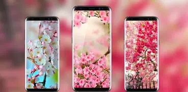 Spring Flowers Live Wallpaper - HD 4K Backgrounds