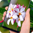 Spring Flowers Live Wallpaper - HD 4K Backgrounds