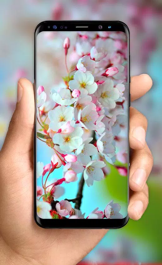Tải xuống APK Spring Flowers Live Wallpaper - HD 4K Backgrounds cho Android